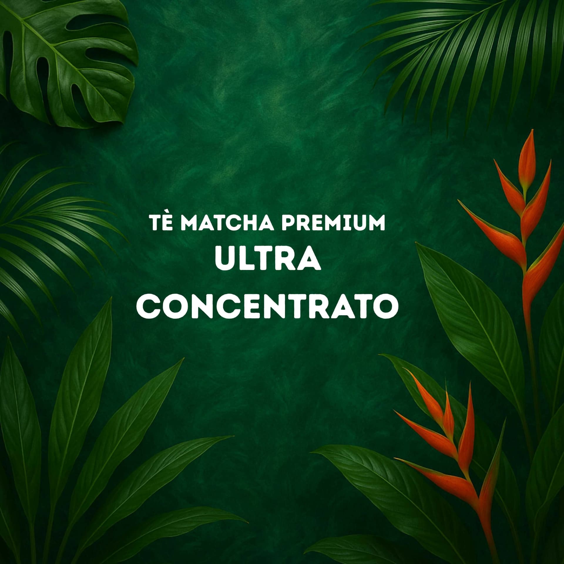 Tè Verde in Polvere con Taurina e Vitamina C - Tè Matcha – Antiossidante Naturale, Energizzante e Supporto Metabolico | 100% Puro 100gr - AlohaLabs in Disintossicazione e purificazione BasketGuru Italia - Palermo, commercioVirtuoso.it