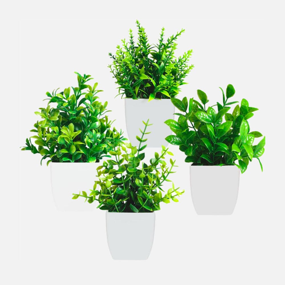 Piante artificiali per la casa