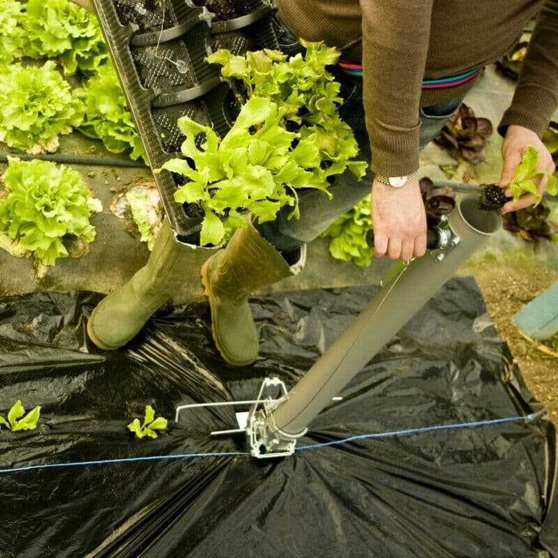 Trapiantatore "Multiplanter" manuale per tuberi e piantine "Made in Italy" in Pianta bulbi La Zappa - Altamura, commercioVirtuoso.it