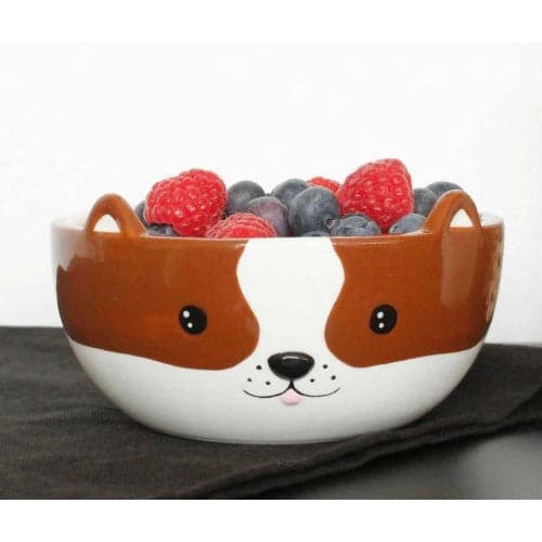 WINKEE Ciotola per cereali cane in Autocategorizzazione Più Di Più Ideas - Casalnuovo di Napoli, commercioVirtuoso.it