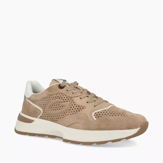 Alberto Guardiani uomo sneakers in suede in Sneaker casual Cantali Calzature - Randazzo, commercioVirtuoso.it