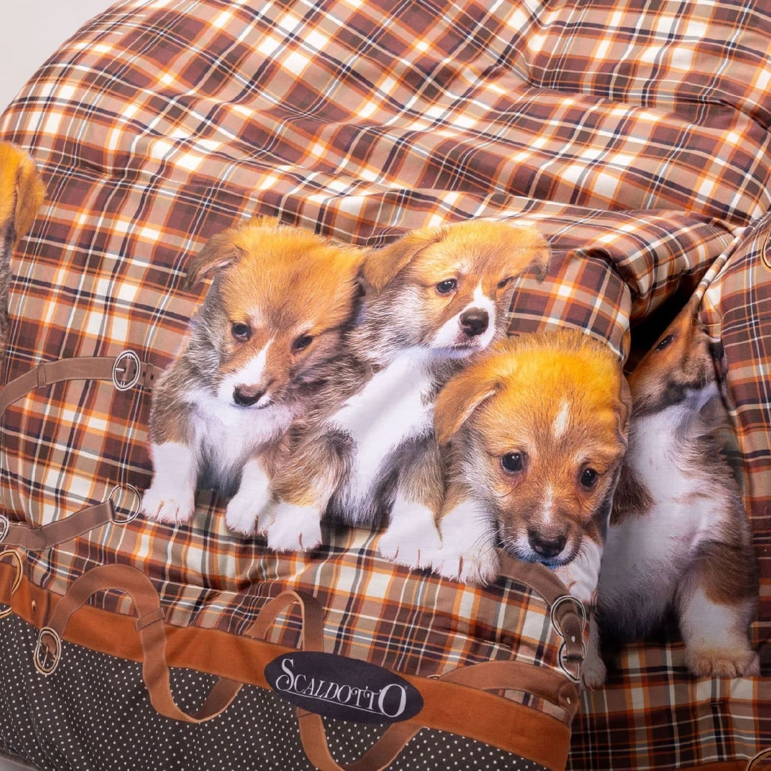 Scaldotto Caleffi art.Cuccioli colore cuoio in Plaid Biancheria Arredo Home - Nola, commercioVirtuoso.it