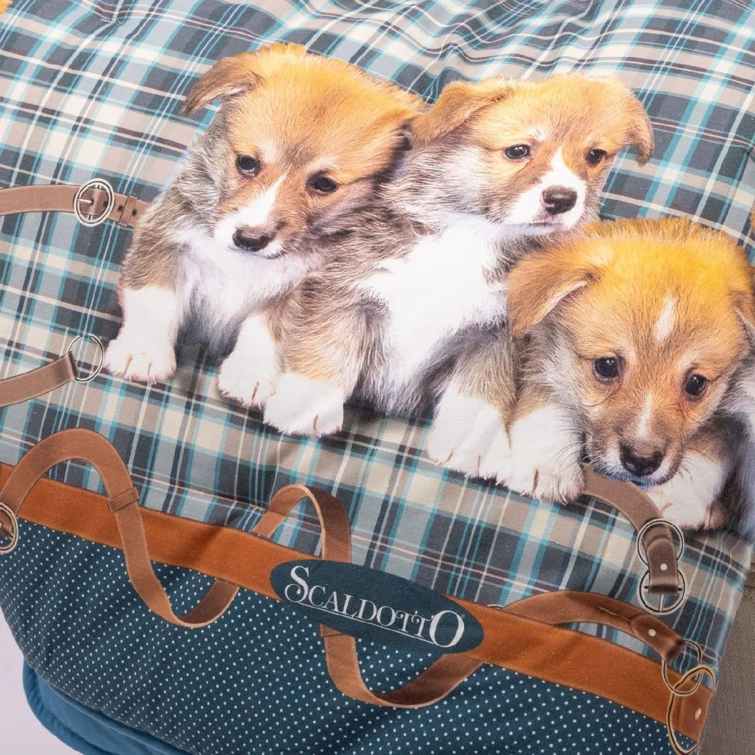 Scaldotto Caleffi art.Cuccioli colore blu in Plaid Biancheria Arredo Home - Nola, commercioVirtuoso.it