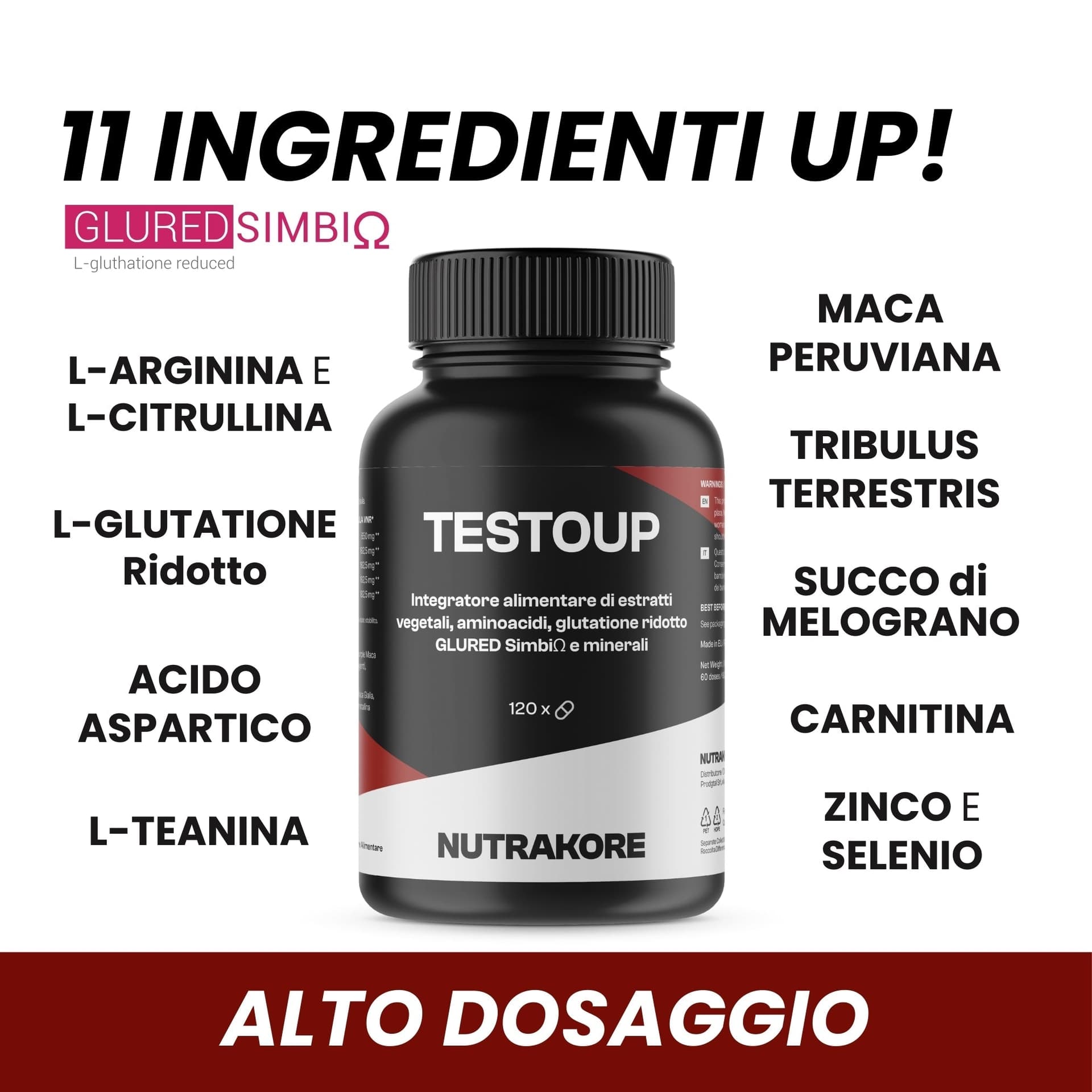 Testosterone uomo TestoUp® in Maca Natugea - Pavia, commercioVirtuoso.it