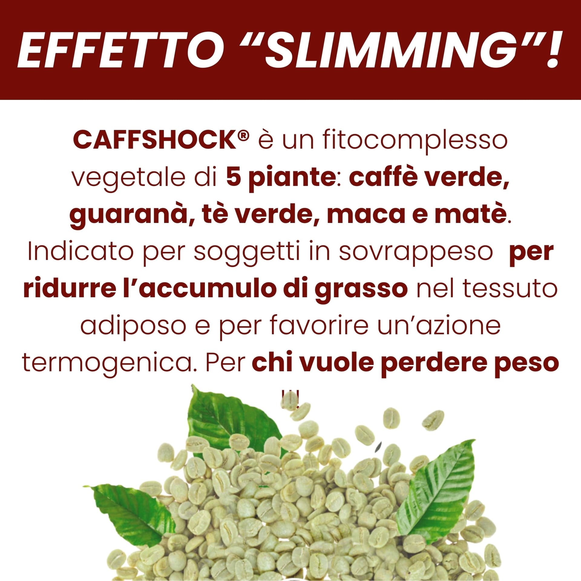 Termogenico THERMOFAT® in Bruciatori di grasso Natugea - Pavia, commercioVirtuoso.it