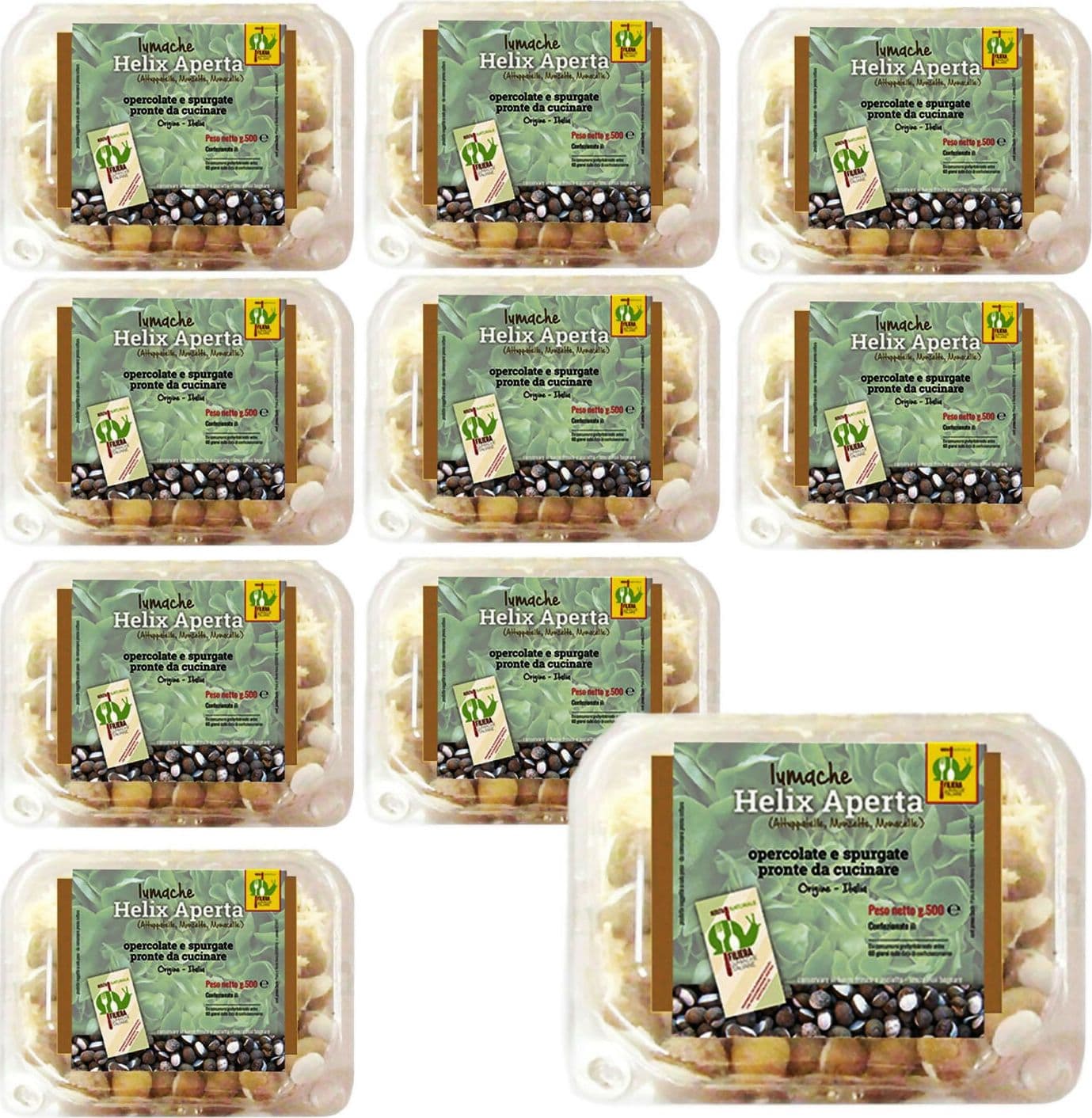 LUMACHE Monacella HELIX APERTA da Gastronomia Spurgate Pronte da Cucinare 100% Italiane + Ricettario Incluso in Lumache Coclè - Piana di Monte Verna, commercioVirtuoso.it