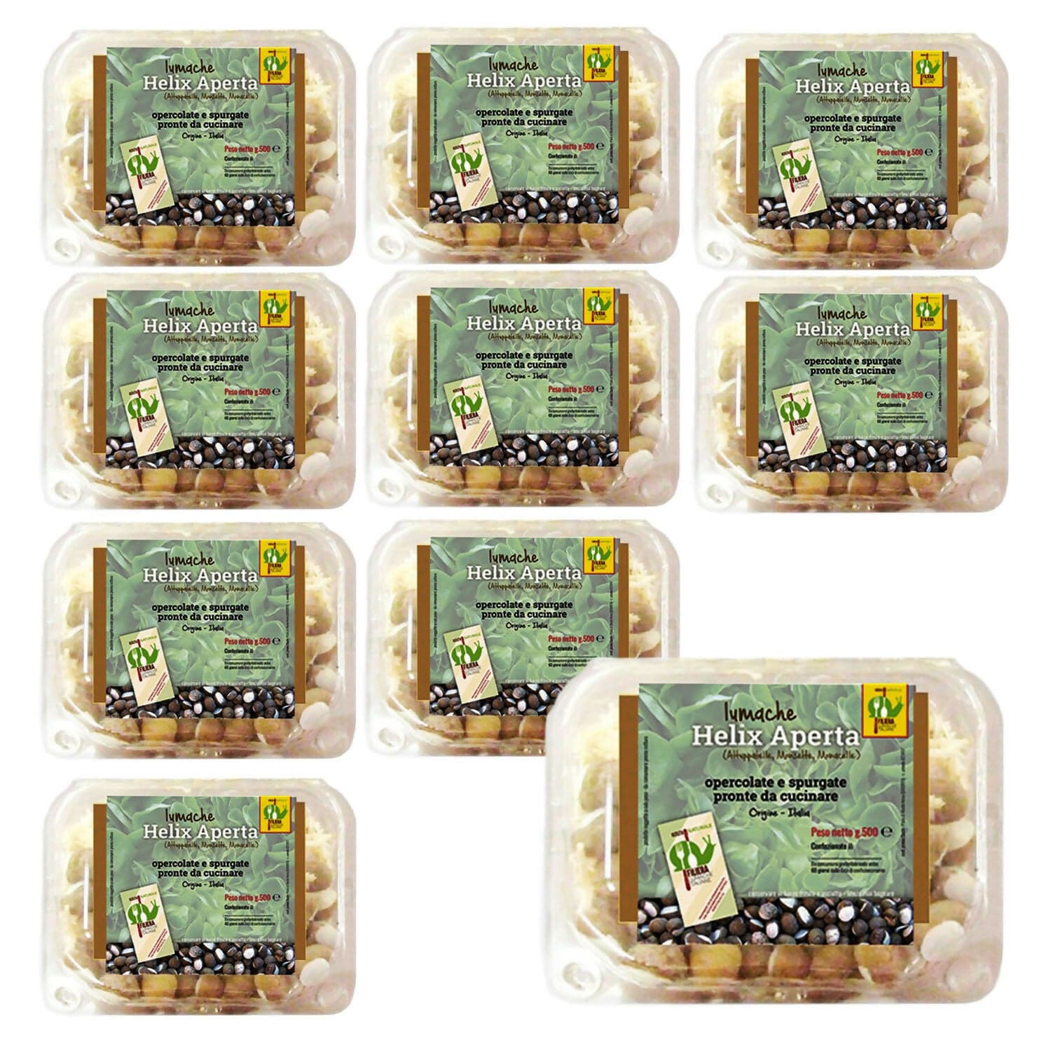 LUMACHE Monacella HELIX APERTA da Gastronomia Spurgate Pronte da Cucinare 100% Italiane + Ricettario Incluso in Lumache Coclè - Piana di Monte Verna, commercioVirtuoso.it