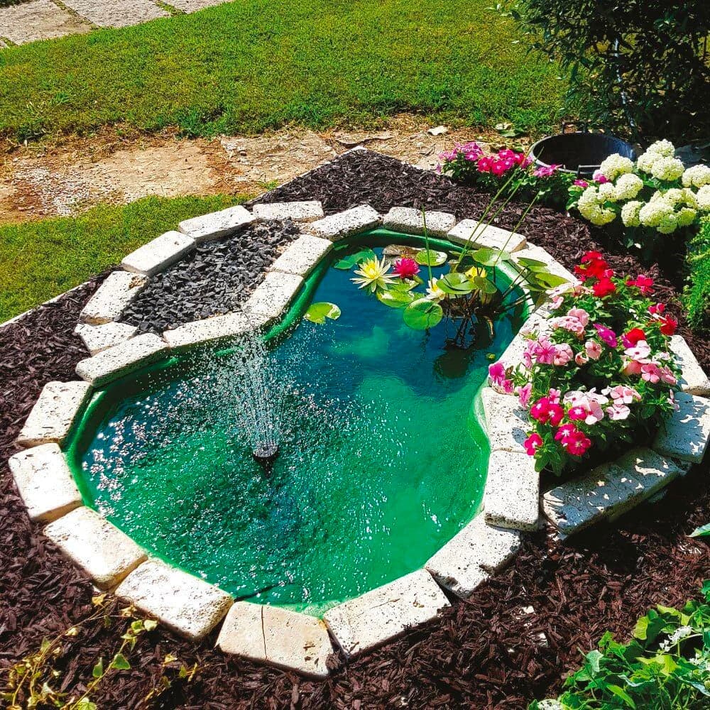 Stagni e giardini acquatici da Giardino