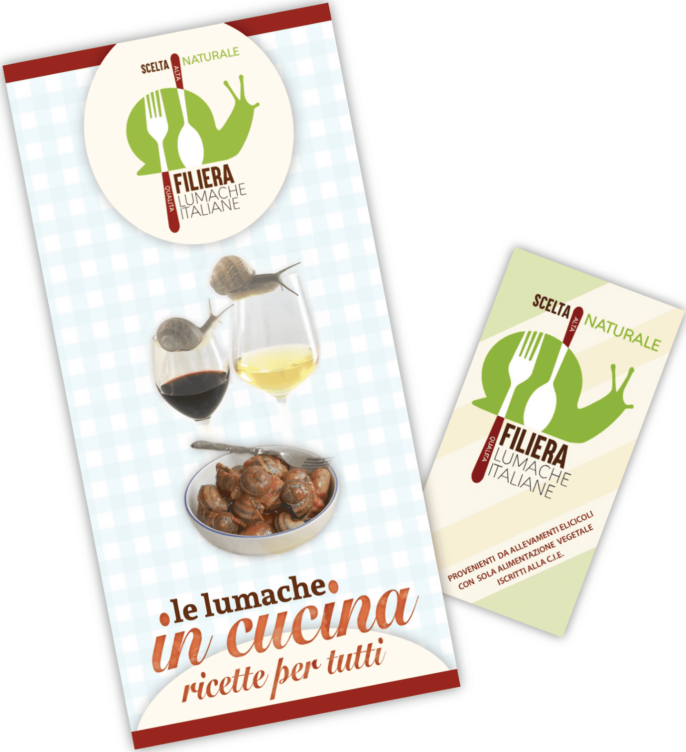 Lumache Vignaiole Grandi HELIX ASPERSA MULLER Spurgate Pronte da Cucinare 100% Italiane in Lumache Coclè - Piana di Monte Verna, commercioVirtuoso.it