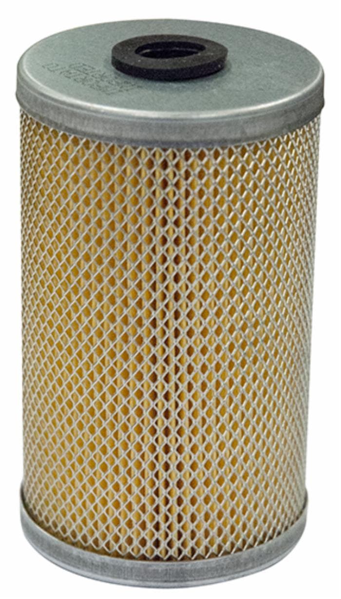 Filtro Nafta e Gasolio Fiat 1909108 in Ginevra GardenStore - Novellara, commercioVirtuoso.it