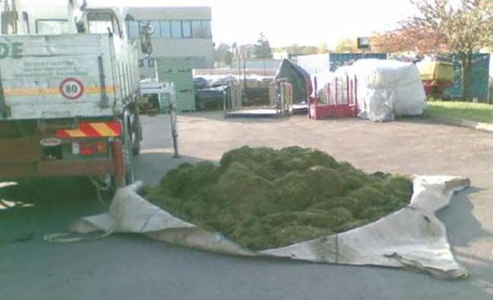 Telo raccolta sfalci con 4 asole 4x4 in Sacchi per i rifiuti GardenStore - Novellara, commercioVirtuoso.it