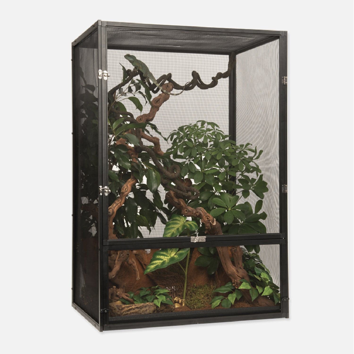 Terrari per Rettili E Anfibi