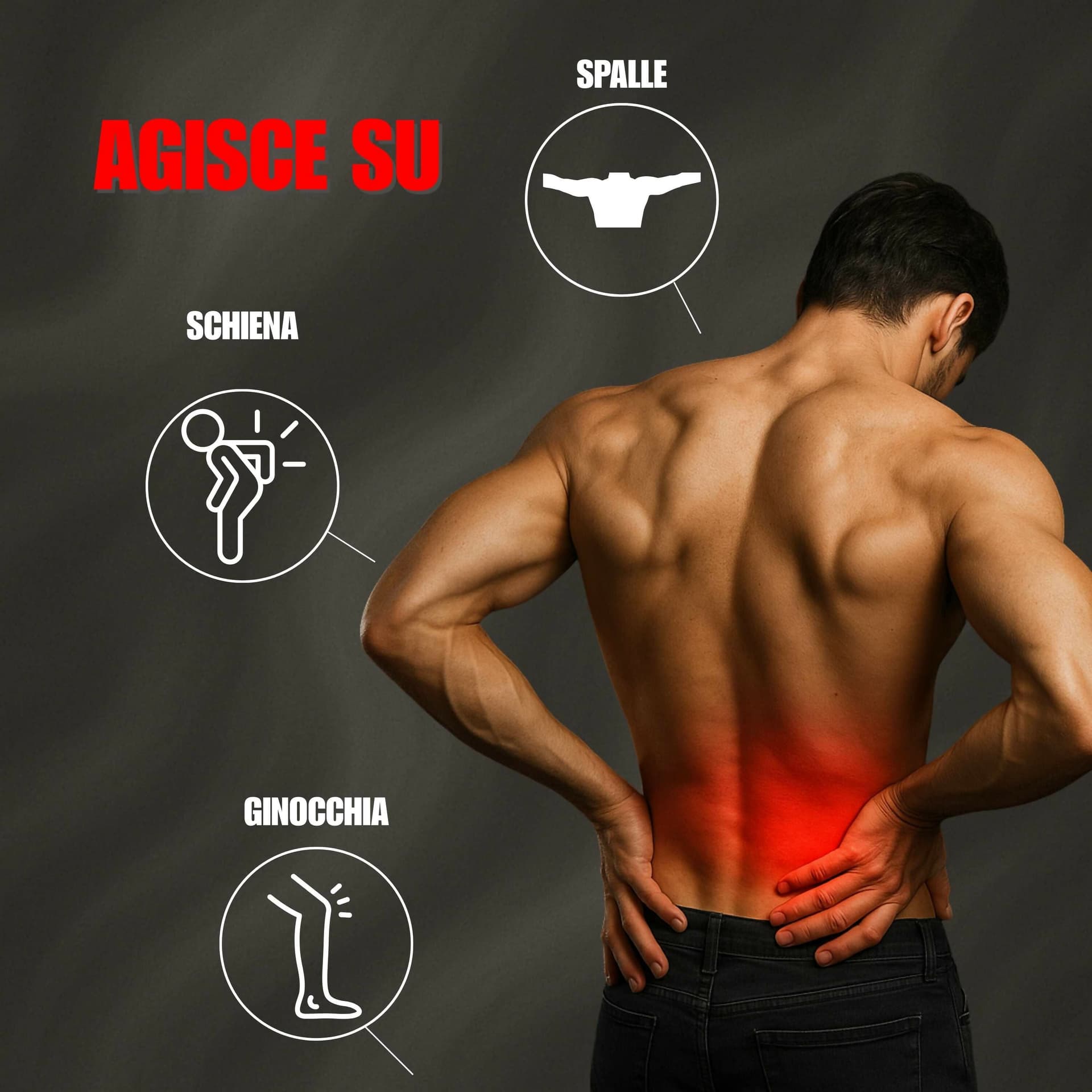 Alohalabs balsamo di cavallo balsamo arnica forte uso umano per muscoli e articolazioni 500ml - con artiglio del diavolo - azione rilassante e sollievo rapido in Creme BasketGuru Italia - Palermo, commercioVirtuoso.it