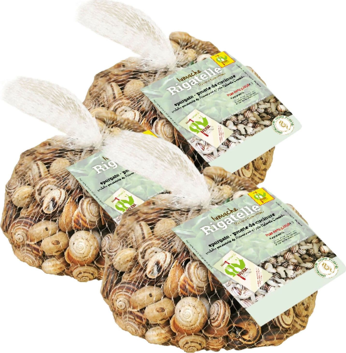 LUMACHE RIGATELLE da Gastronomia Eobania Vermiculata Spurgate Pronte da Cucinare 100% Italiane in Lumache Coclè - Piana di Monte Verna, commercioVirtuoso.it
