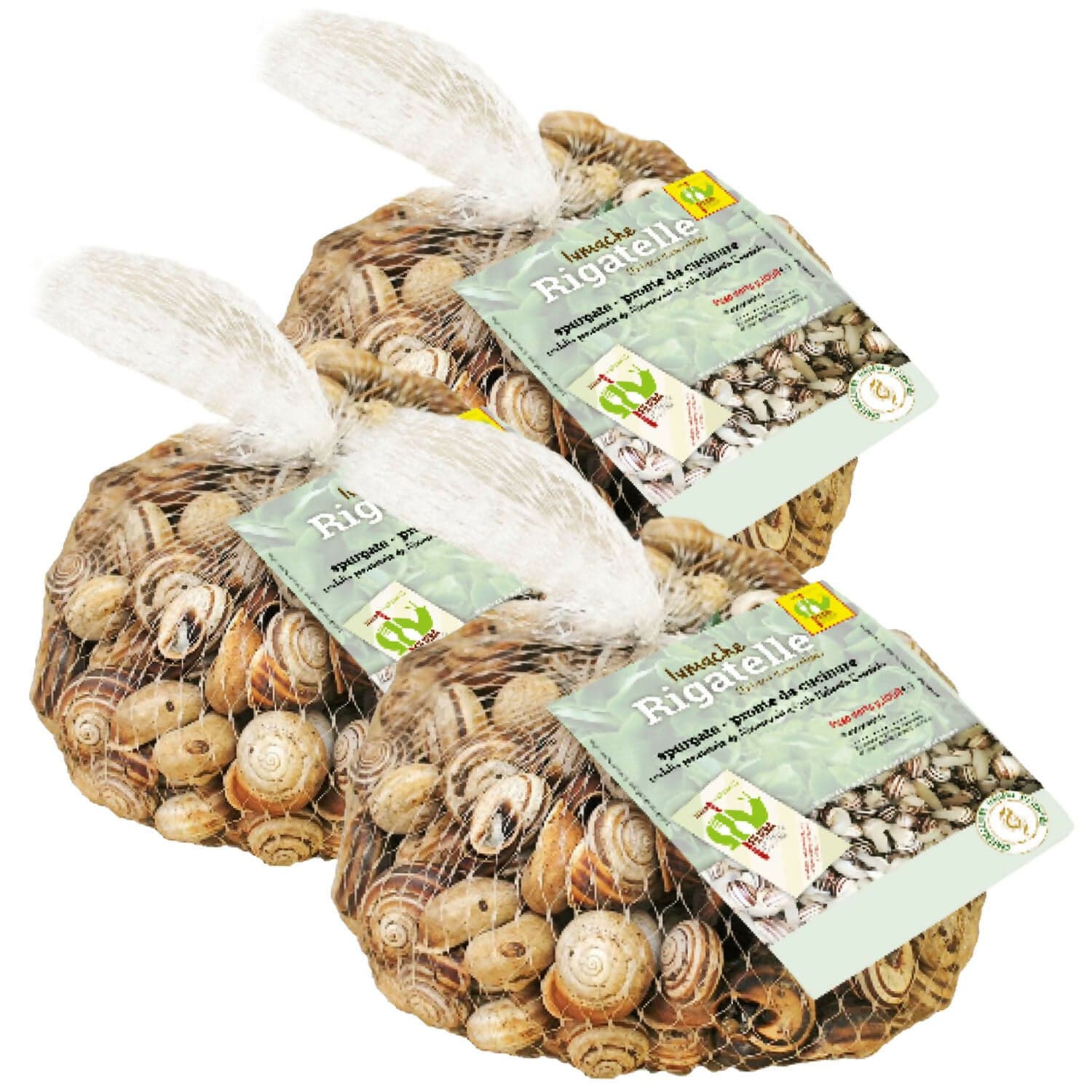 LUMACHE RIGATELLE da Gastronomia Eobania Vermiculata Spurgate Pronte da Cucinare 100% Italiane in Lumache Coclè - Piana di Monte Verna, commercioVirtuoso.it