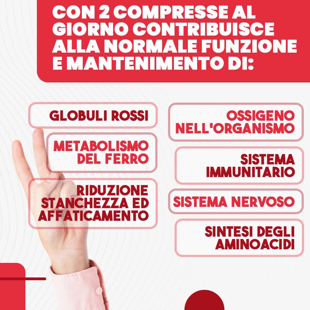Ferro integratore 30 mg con acido folico e vitamina b2-160 compresse - per globuli rossi, ossigeno, sistema immunitario, stanchezza e benessere mentale in Ferro MyLab Nutrition - Roma, commercioVirtuoso.it