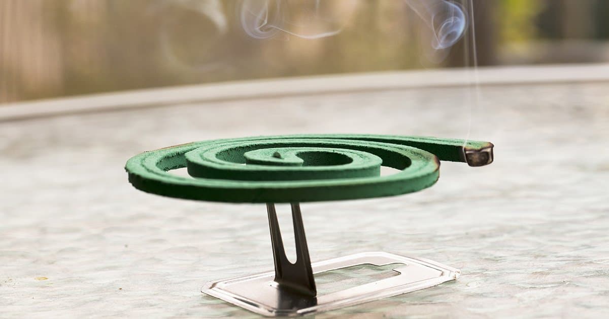 Coccio diffusore forato con 2 spirali profumatori citronella in Zanzare La Zappa - Altamura, commercioVirtuoso.it