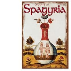 Dove acquistare i prodotti a marchio Aurum