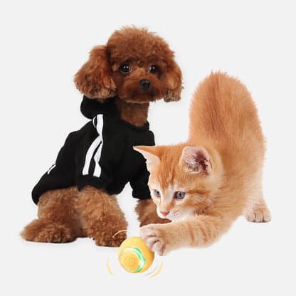 Prodotti per animali domestici