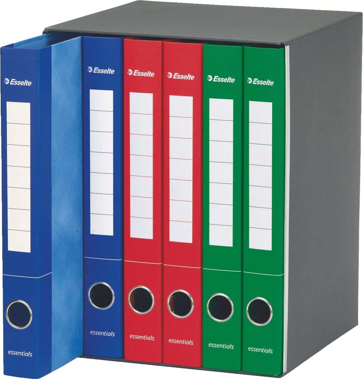 Gruppo di raccoglitori classificatori a 2 anelli E6 Essentials Cancelleria e prodotti per ufficio/Archivio ufficio e accessori per scrivania/Accessori da scrivania e archiviazione/Bandierine da tavolo Decor Space - Altamura, Commerciovirtuoso.it