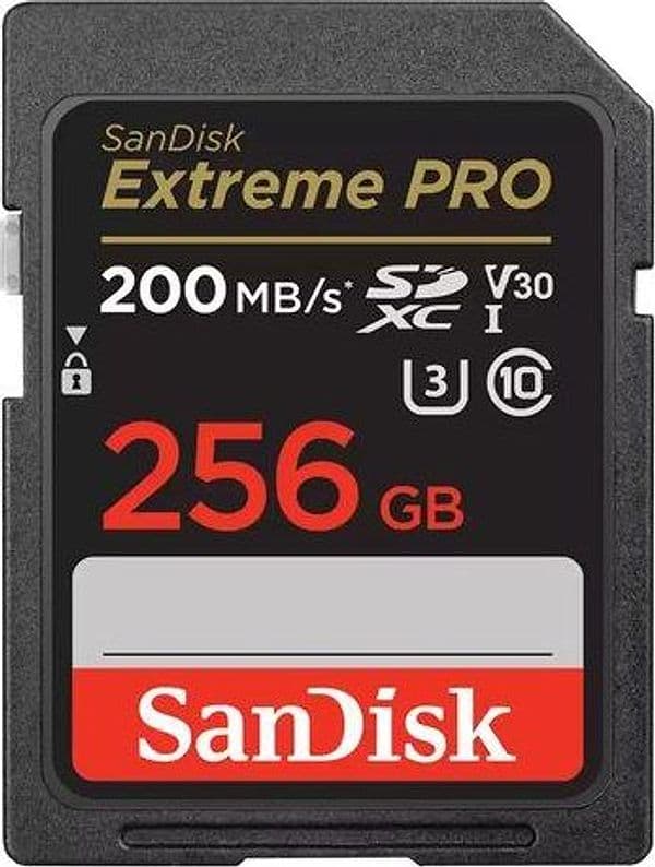 Sd 256gb extreme pro v30 sdsdxxd 256g gn4in in eWeki - Napoli, commercioVirtuoso.it