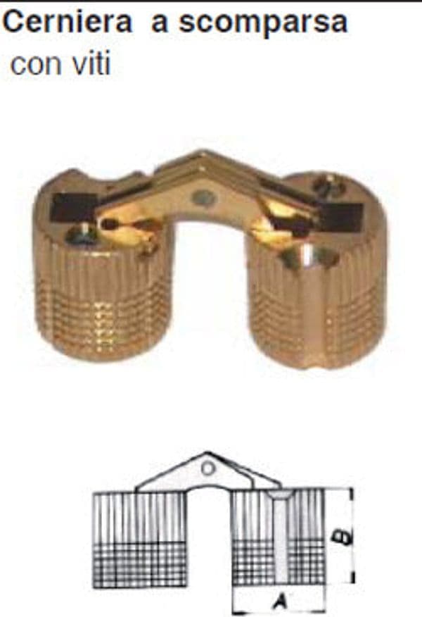 2-PEZZI---CERNIERE-A-SCOMPARSA-IN-OTTONE-10X11MM