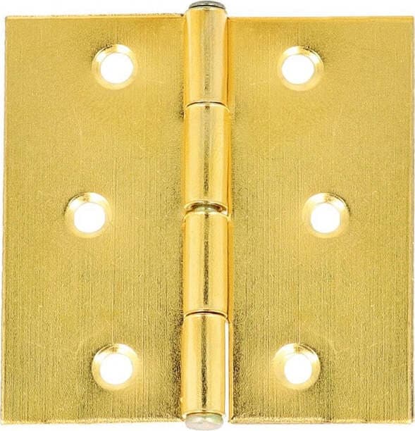 2-PEZZI---CERNIERE-QUADRE-IN-FERRO-OTTONATE-30X30MM