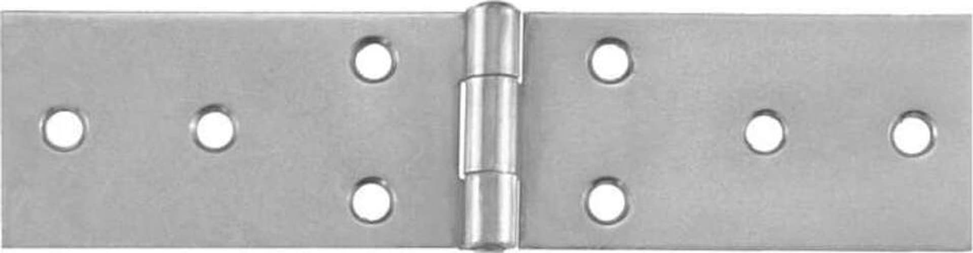 2-PEZZI---CERNIERE-STRETTE-LUNGHE-IN-ACCIAIO-INOX-100x32MM---SPESSORE-1,5MM