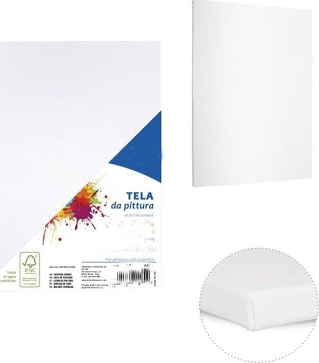 2 Tela Per Dipingere Canvas Rettangolare 20 X 25 Cm Artico Disegno Arte Pittura Casa e cucina/Hobby creativi/Disegno/Tele/Tele intelaiate Trade Shop italia - Napoli, Commerciovirtuoso.it