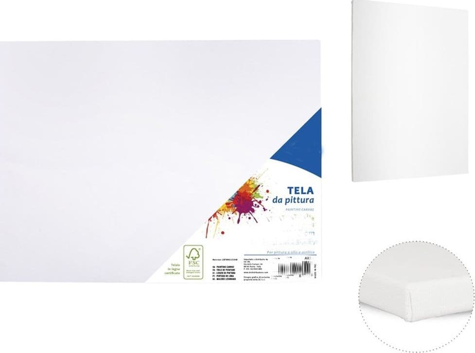 2 Tela Per Dipingere Canvas Rettangolare 20 X 25 Cm Artico Disegno Arte Pittura Casa e cucina/Hobby creativi/Disegno/Tele/Tele intelaiate Trade Shop italia - Napoli, Commerciovirtuoso.it