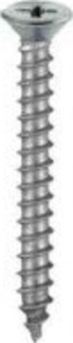 20-VITI-AUTOFILETTANTI-IN-INOX-TESTA-PIANA-SVASATA-2,9X19