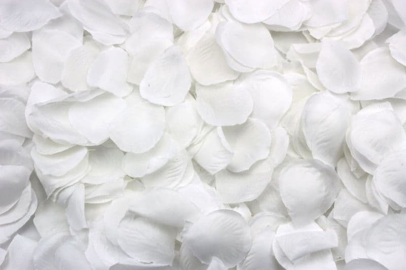 2400 PETALI PETALO DI STOFFA BIANCO ARTIFICIALI DECORO VETRINE WEDDING FESTA Casa e cucina/Decorazioni per interni/Piante e fiori artificiali/Fiori artificiali Trade Shop italia - Napoli, Commerciovirtuoso.it