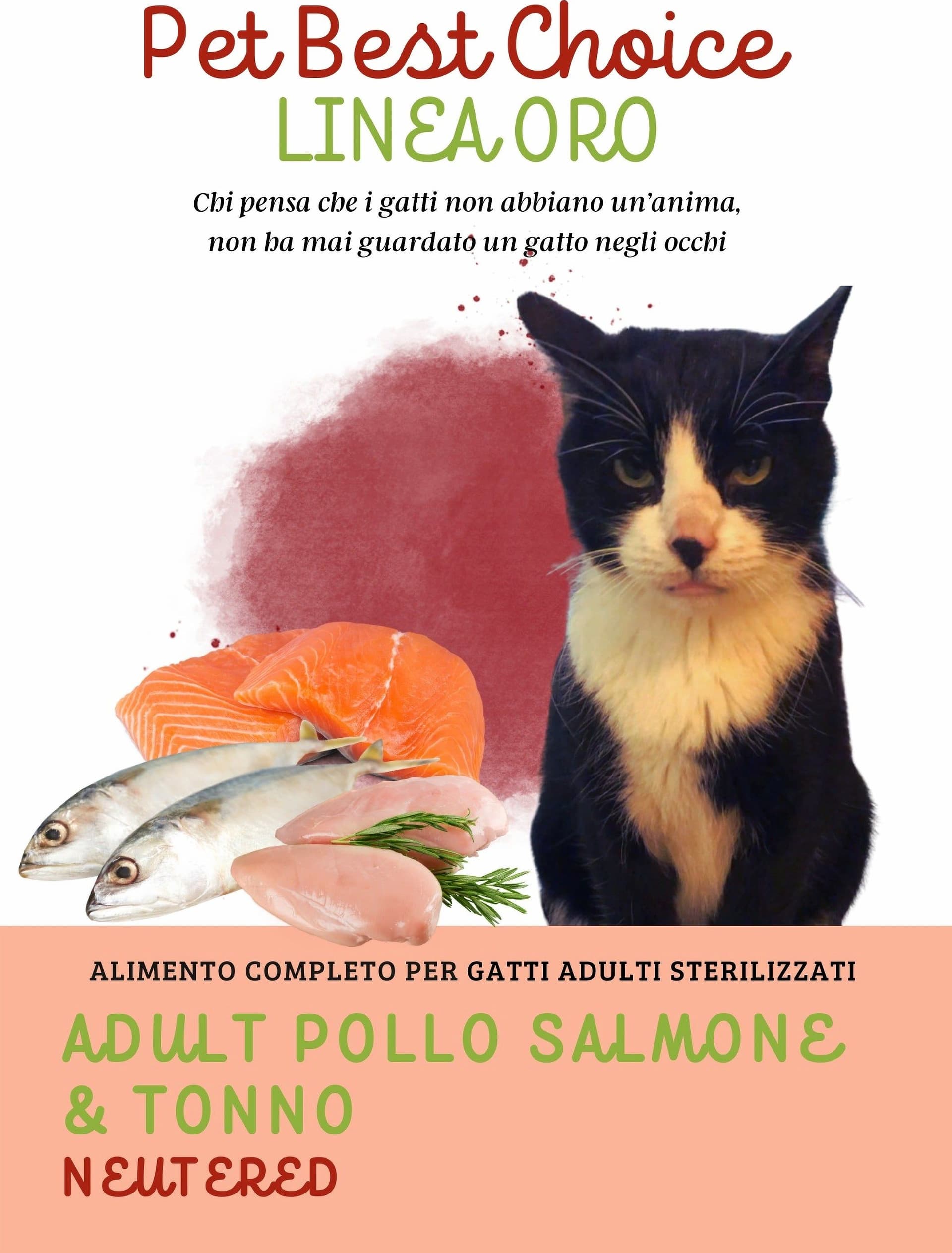 PETBESTCHOICE LOW GRAIN adult Pollo e Salmone 55% in Secco Petbestchoice - Loreo, commercioVirtuoso.it