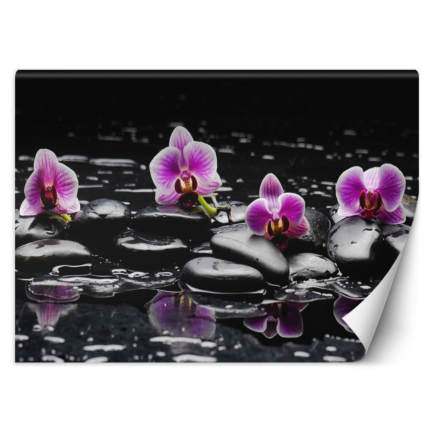 Carta Da Parati, Pietre e orchidee zen in Carta da parati Collezione Casa - Trebisacce, commercioVirtuoso.it