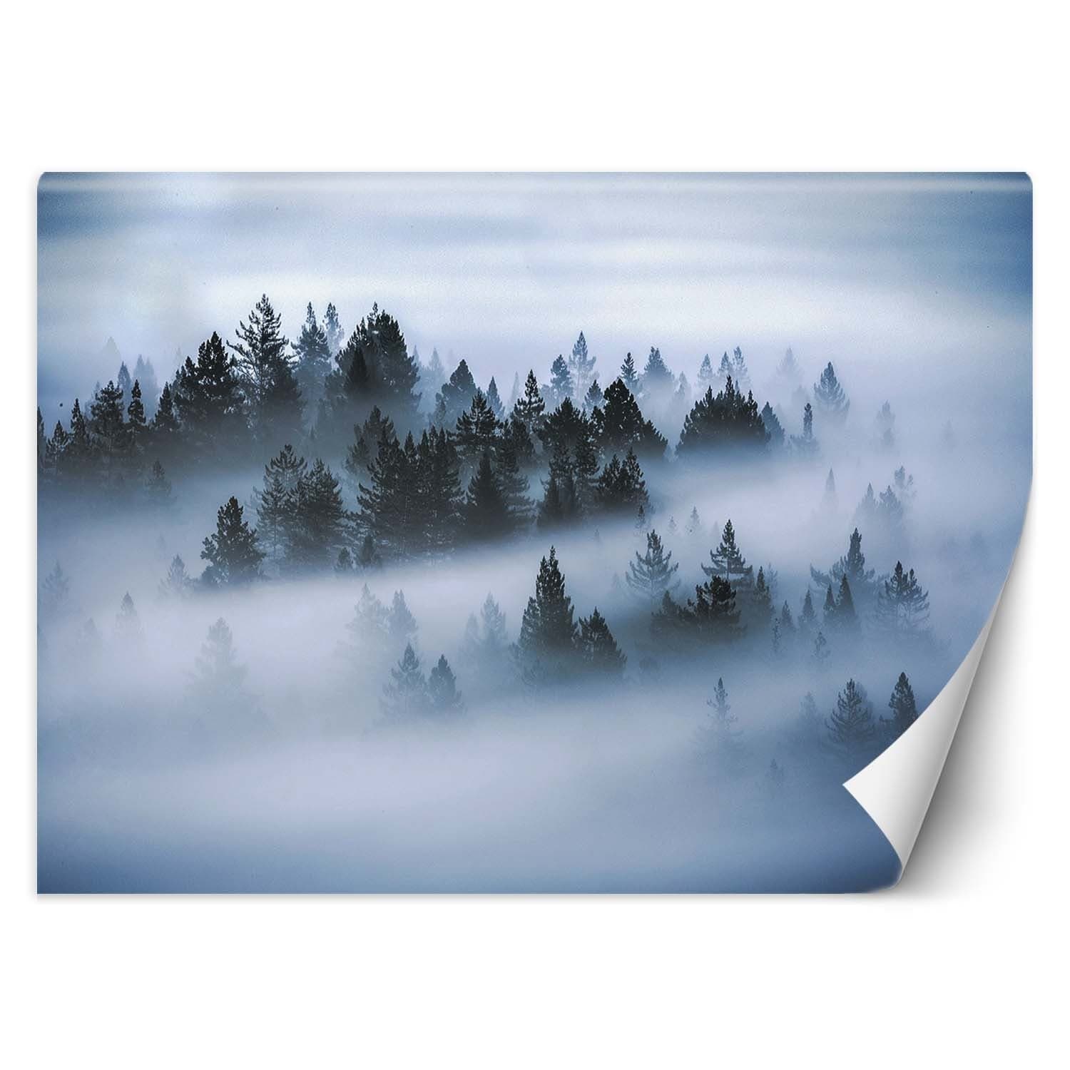 Carta Da Parati, Foresta nella nebbia in Carta da parati Collezione Casa - Trebisacce, commercioVirtuoso.it