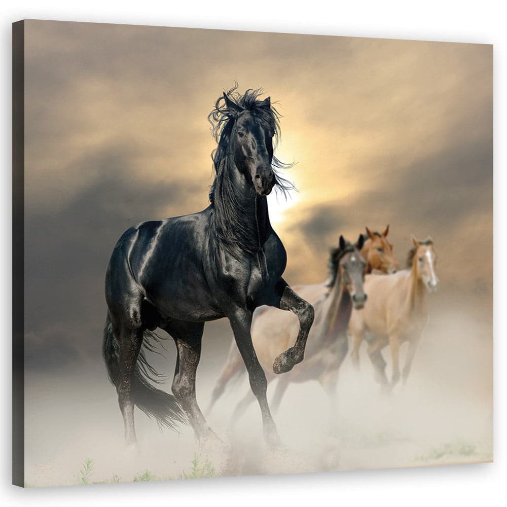 Quadro su tela, Mandria di cavalli in Poster e stampe Collezione Casa - Trebisacce, commercioVirtuoso.it