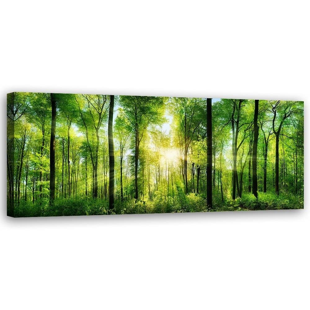 Quadro su tela, Paesaggio Foresta Verde Natura in Poster e stampe Collezione Casa - Trebisacce, commercioVirtuoso.it