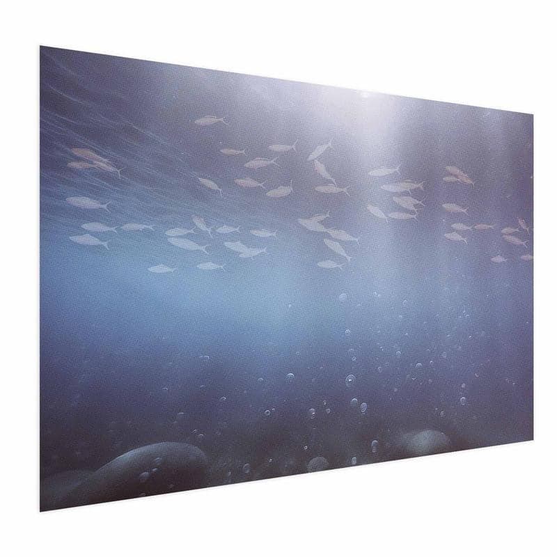 Poster - Fish in the Depths in Poster e stampe Collezione Casa - Trebisacce, commercioVirtuoso.it