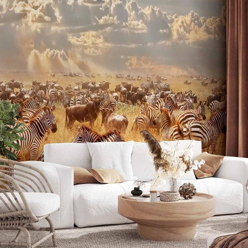 Carta da parati - Zebra Land in Carta da parati Collezione Casa - Trebisacce, commercioVirtuoso.it