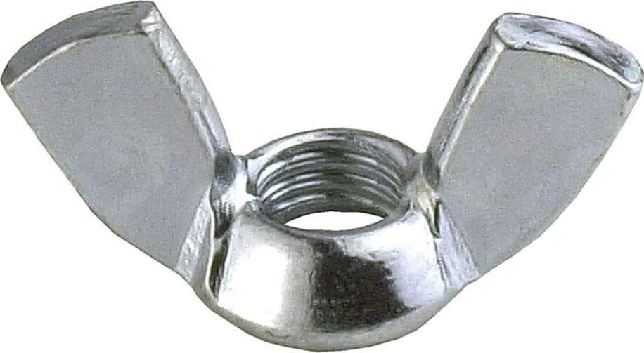 4-PEZZI---DADI-A-GALLETTO-IN-ACCIAIO-INOX---M6