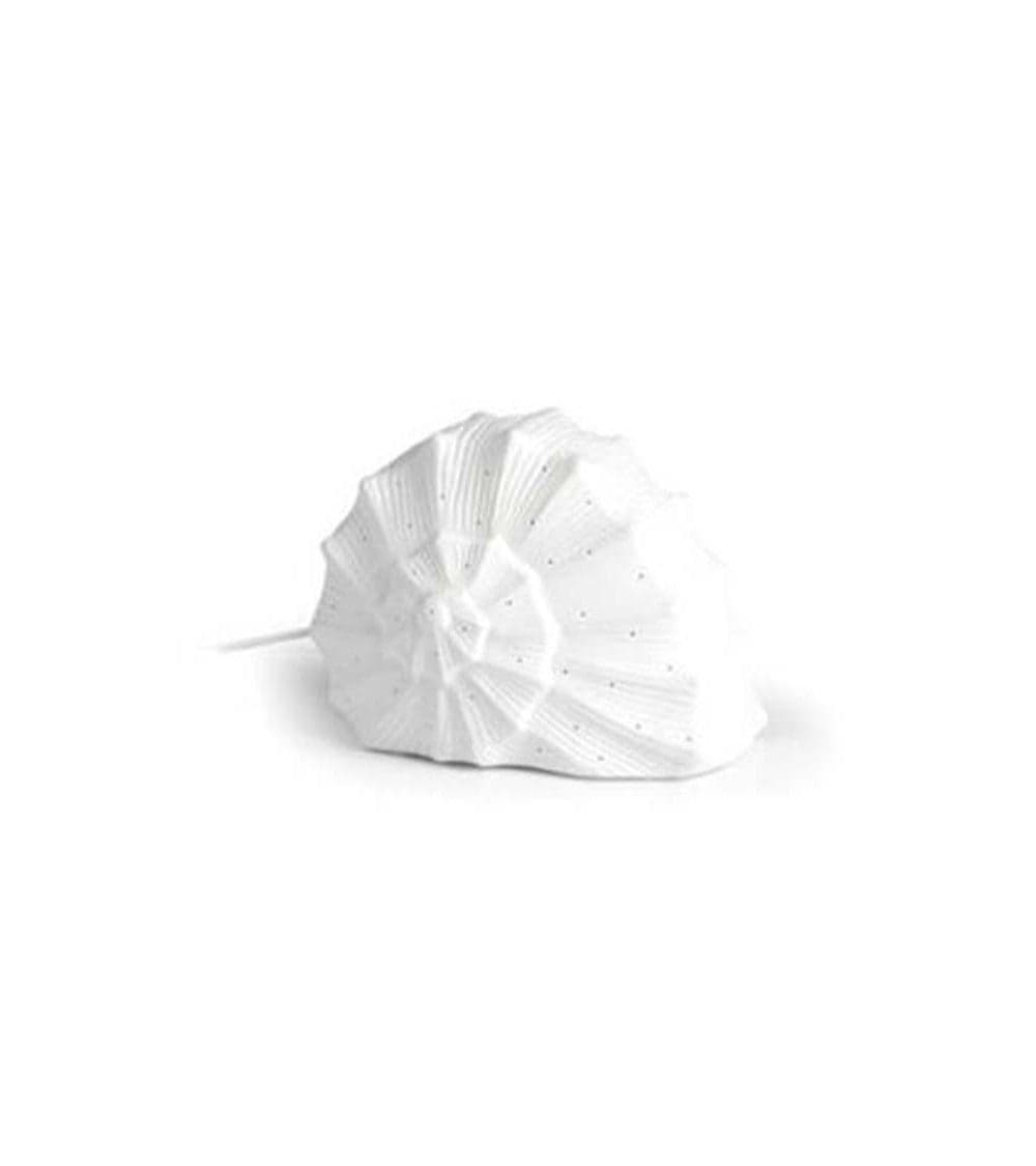 Lampada in ceramica lumaca marina 22xH18cm in Autocategorizzazione Più Di Più Ideas - Casalnuovo di Napoli, commercioVirtuoso.it