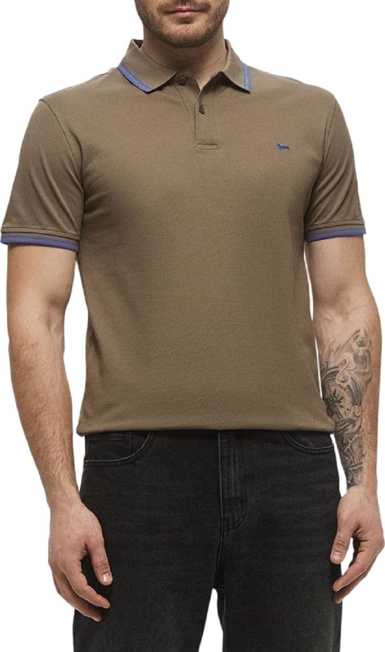 Harmont & Blaine T-shirt e Polo Verde da uomo in Polo Drestige - Casamassima, commercioVirtuoso.it