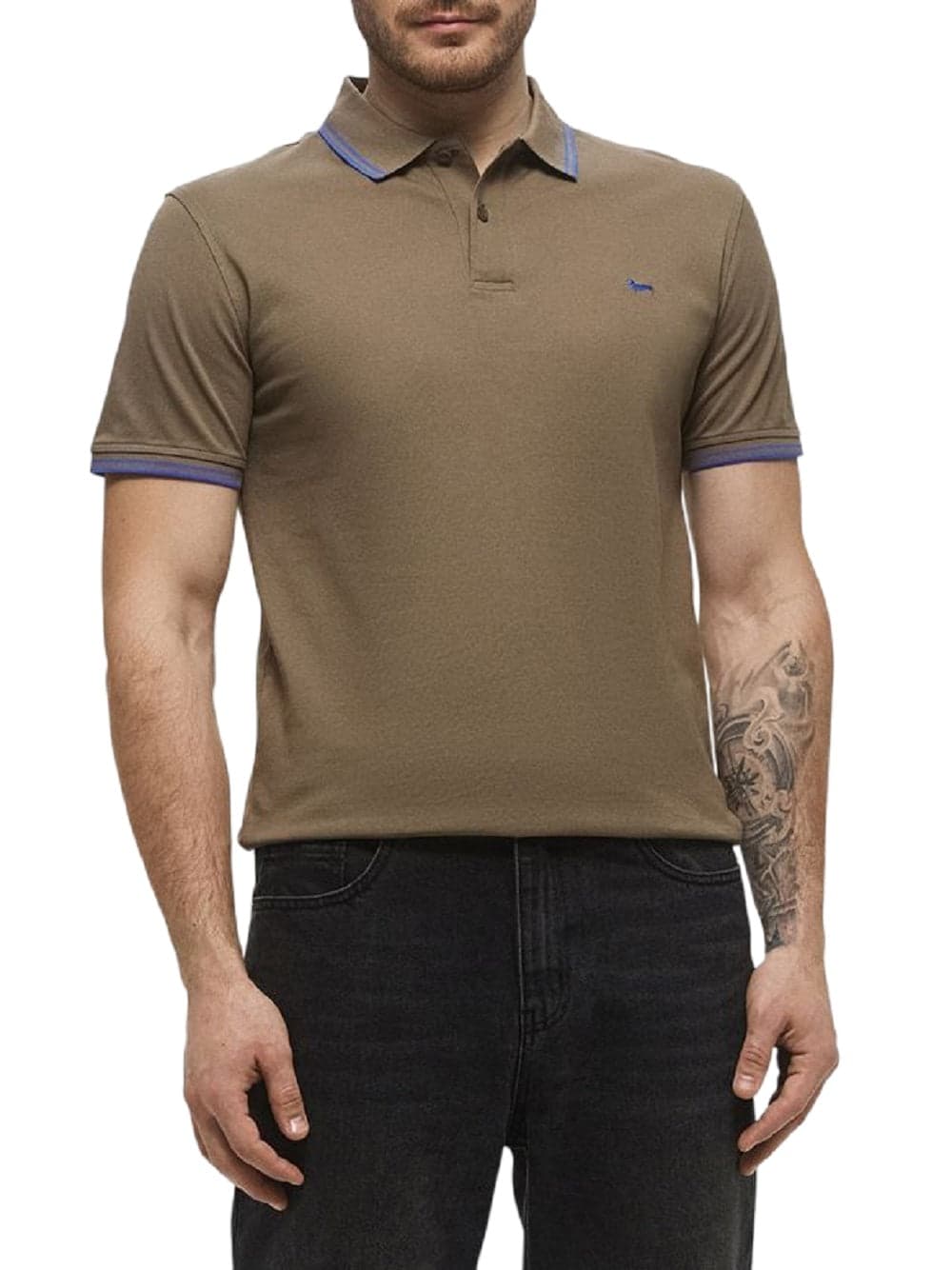 Harmont & Blaine T-shirt e Polo Verde da uomo in Polo Drestige - Casamassima, commercioVirtuoso.it