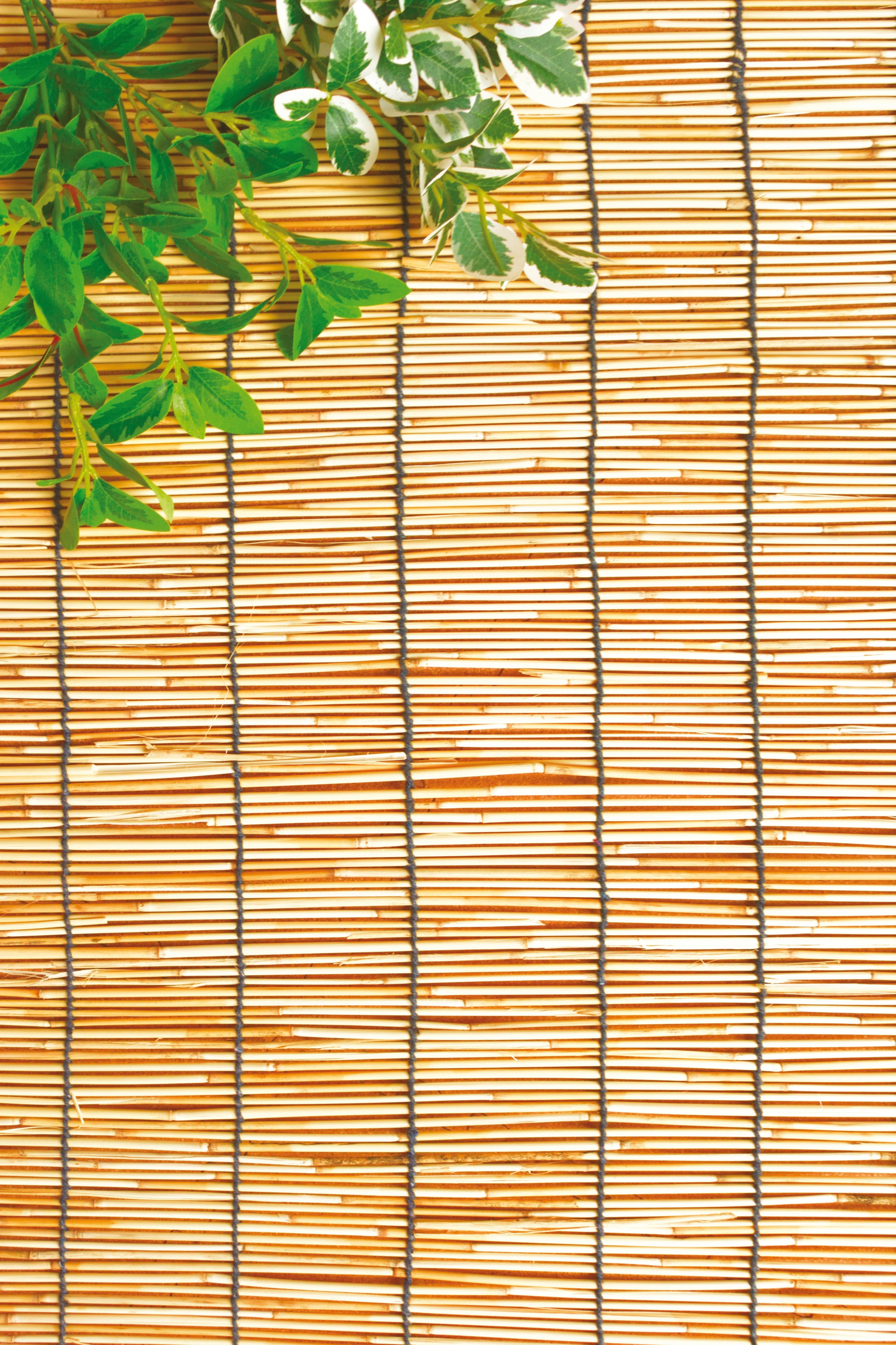 Utilia Top Quality Arelle Stuoia In Canniccio Naturale Con Carrucola Cm. 100X300 H in Schermi divisori e protettivi per giardino BricoGo - Marano di Napoli, commercioVirtuoso.it