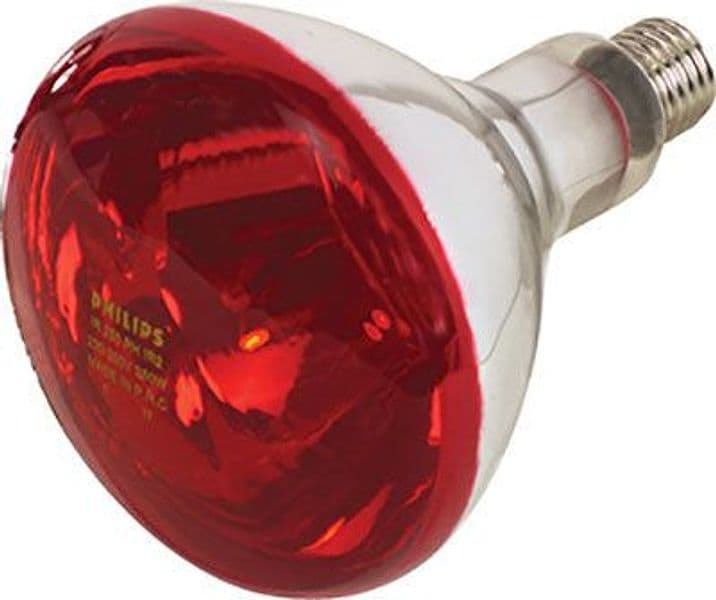Lampada Riflettore Pulcini Infrarossi Volt 230 Watt 150 E27 Mm 125 in Lampadine a infrarossi BricoGo - Marano di Napoli, commercioVirtuoso.it