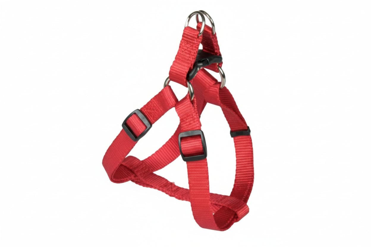 Pettorina Per Cani Nylon- - Cm.50/80X2,5 - 2 Pezzi Il Campo in Imbracature con pettorina BricoGo - Marano di Napoli, commercioVirtuoso.it