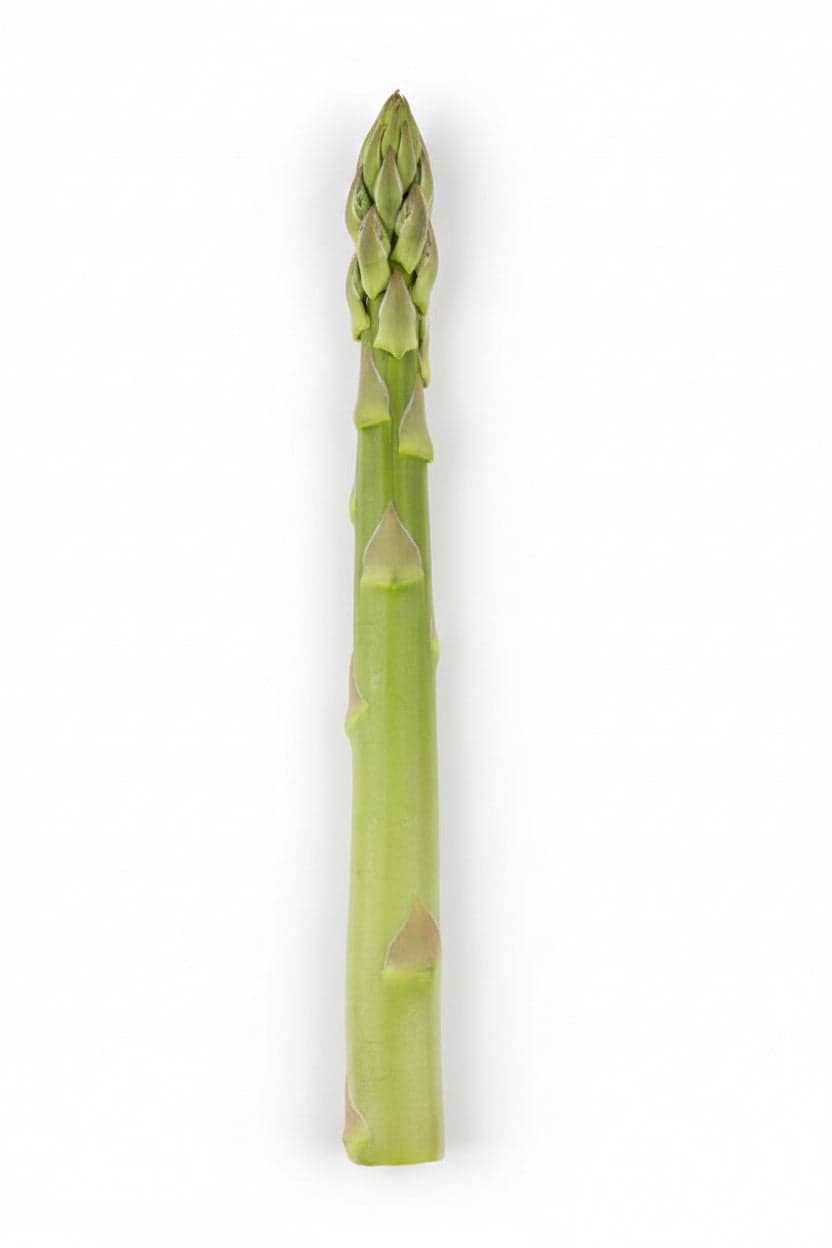 Paletti Da Recinzione In Acciaio Plastificato- - Cm.225H. Sezione 35X35X3 - Kg.3,56 - 10 Pezzi in Recinzioni BricoGo - Marano di Napoli, commercioVirtuoso.it