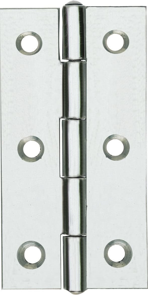 Cerniera Perno Fisso 120 In Inox 1.1/2 26X40 Mm- Aldeghi Luigi Spa- 12,0 Pz in Cardini BricoGo - Marano di Napoli, commercioVirtuoso.it