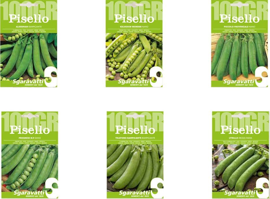 Semi Per Fave Pisello Progress N.9 - Gr 250 - Sgaravatti in Vegetali BricoGo - Marano di Napoli, commercioVirtuoso.it