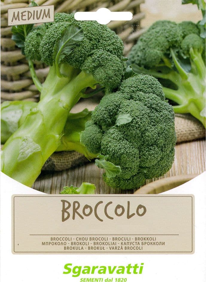 Semi Per Fave Broccoletto Centoventino Riccio S. Marzano - Gr 100 - Sgaravatti in Vegetali BricoGo - Marano di Napoli, commercioVirtuoso.it
